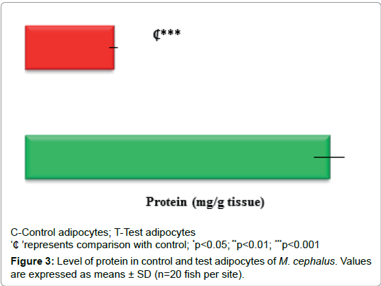 marine-science-research-development-test-adipocytes