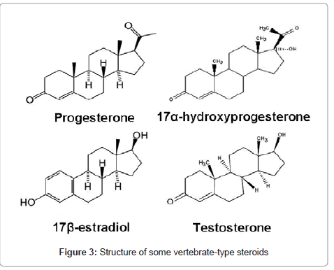 marine-science-research-development-vertebrate-type