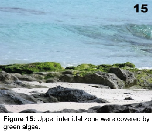 marine-science-research-development-zone-covered