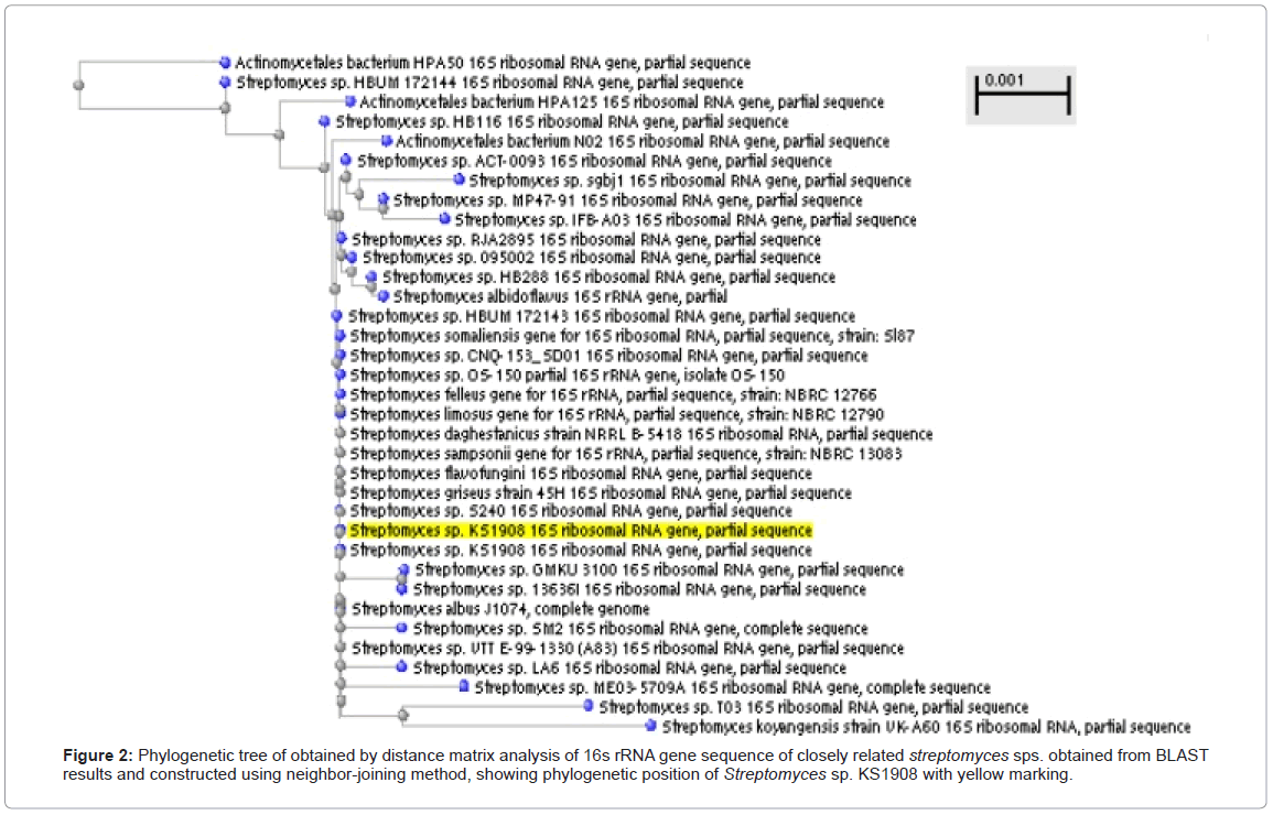marine-science-research-distance-matrix-analysis