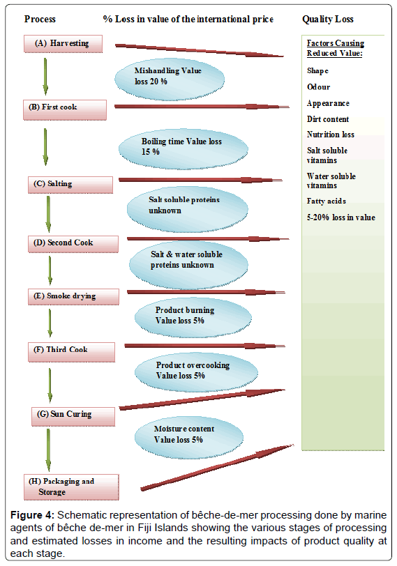 marine-science-research-estimated-losses