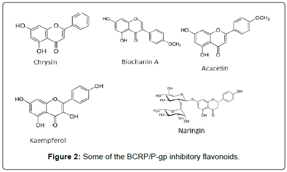 marine-science-research-inhibitory-flavonoids
