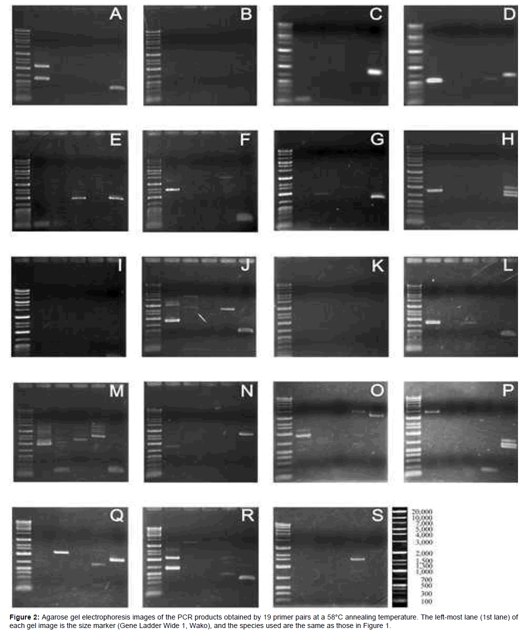 marine-science-research-left-most-lane