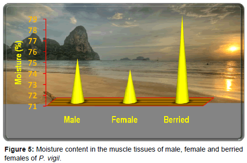 marine-science-research-muscle-tissues-male
