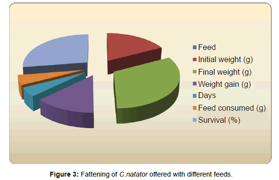marine-science-research-offered-different-feeds