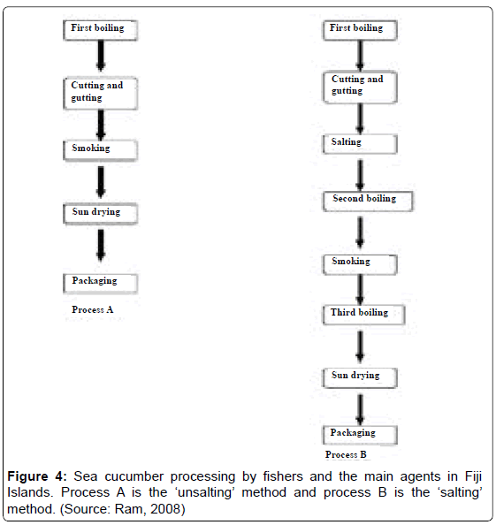 marine-science-research-unsalting-method