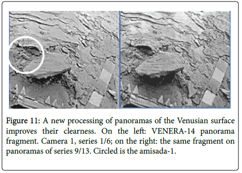 marine-science-research-venusian-surface