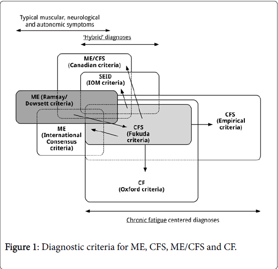 An Accurate Diagnosis Of Myalgic Encephalomyelitis And Chronic Medical Diagnostic Methods Criteria