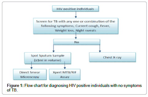 Pathophysiology Of Tuberculosis In Flow Chart