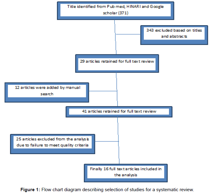 Pathophysiology Of Typhoid Fever In Flow Chart