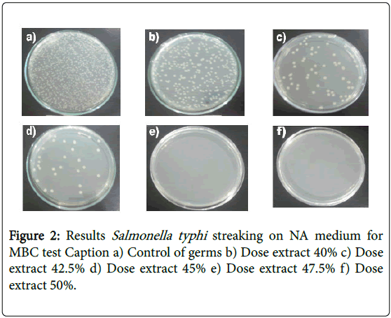 thesis statement for salmonella Examining immune responses in a mouse by using antibiotic treatment to examine immune responses to salmonella, this thesis work may contribute to future research . thesis statement for salmonella Examining immune responses in a mouse by using antibiotic treatment to examine immune responses to salmonella, this thesis work may contribute to future research .