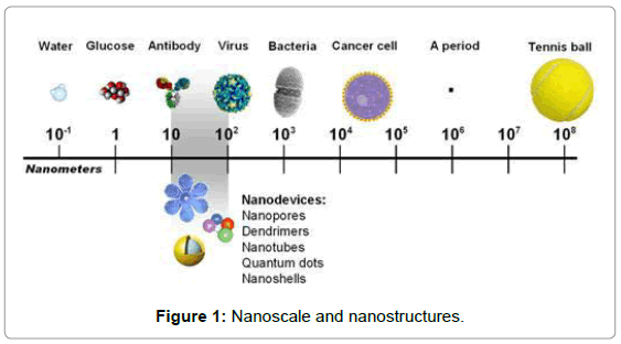 essay on applications of nanotechnology essay on applications of nanotechnology