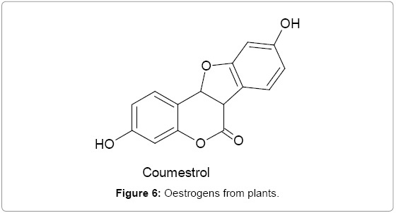 Organic Medicinal And Pharmaceutical Chemistry Pdf