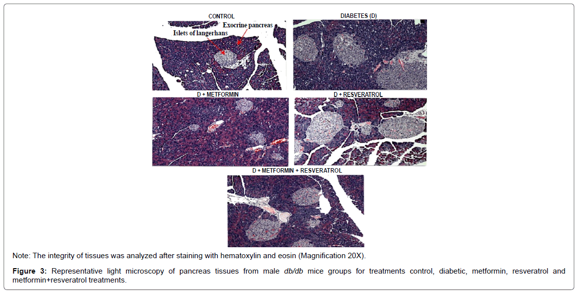 Resveratrol and diabetes