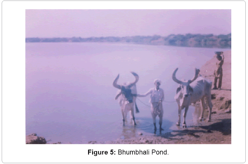 metallurgy-mining-Bhumbhali-Pond