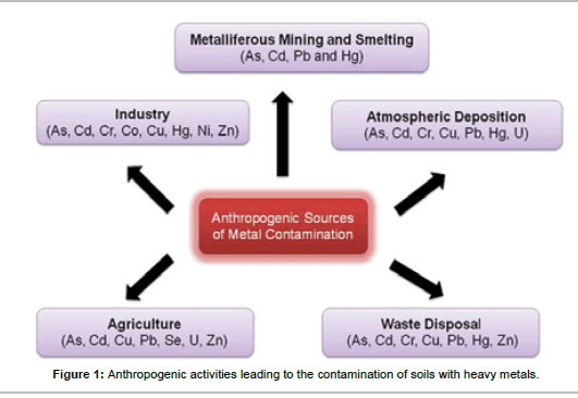 the inhibitory effects of heavy metals on microorganisms Vol 26: 203-206, 1985 marine ecology - progress series mar ecol rog ser i published october 7 note effect of heavy metals on natural populations of bacteria from surface microlayers and subsurface water. the inhibitory effects of heavy metals on microorganisms Vol 26: 203-206, 1985 marine ecology - progress series mar ecol rog ser i published october 7 note effect of heavy metals on natural populations of bacteria from surface microlayers and subsurface water.