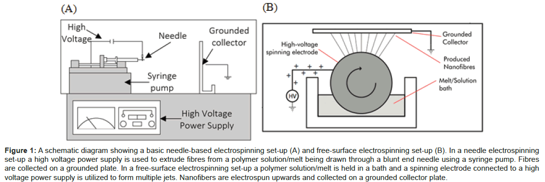 microbial-biochemical-technology-electrospinning-polymer-electrode