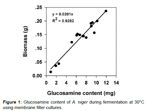 production of enzymes by fermentation pdf