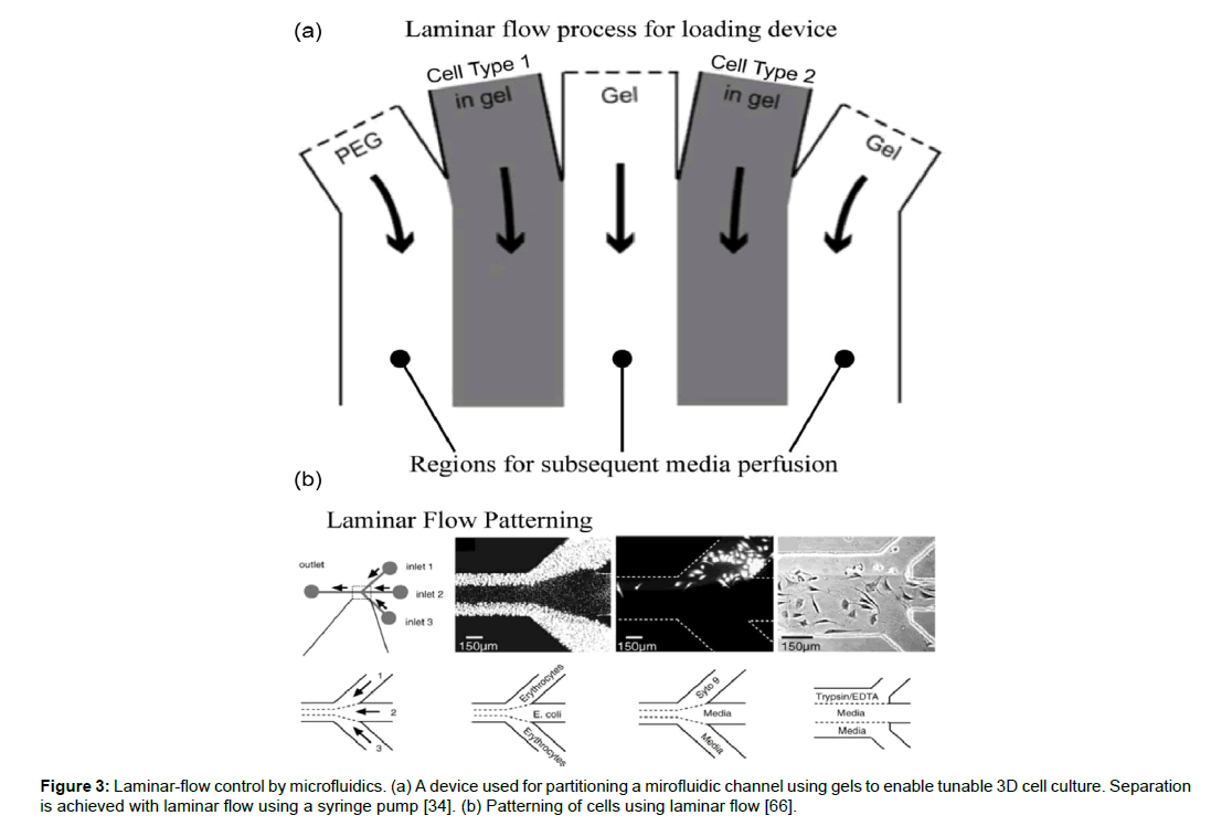 molecularbiologypartitioningmirofluidic