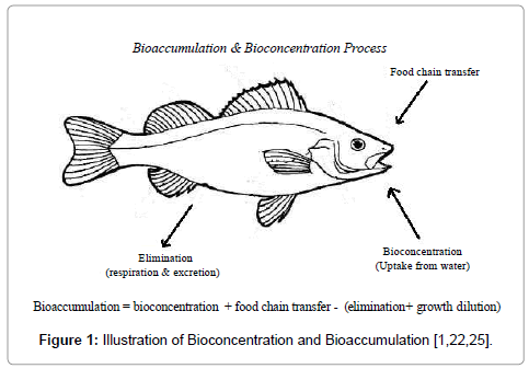 molecular-biomarkers-diagnosis-Bioconcentration
