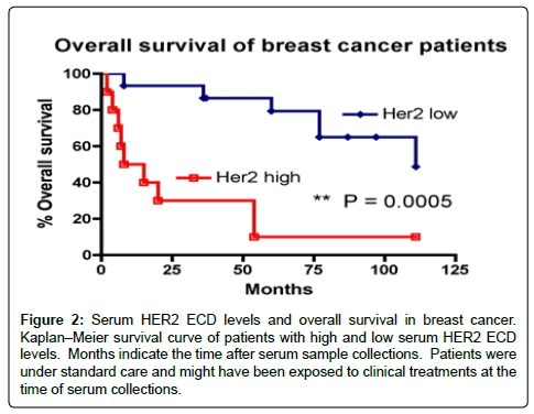 2 breast cancer cancer her survivor Co haus sex