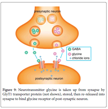 Genetics Plays Outsized Role In Autism >> The Possible Link Between Autism And Glyphosate Acting As Glycine Genetics Plays Outsized Role In Autism >> The Possible Link Between Autism And Glyphosate Acting As Glycine