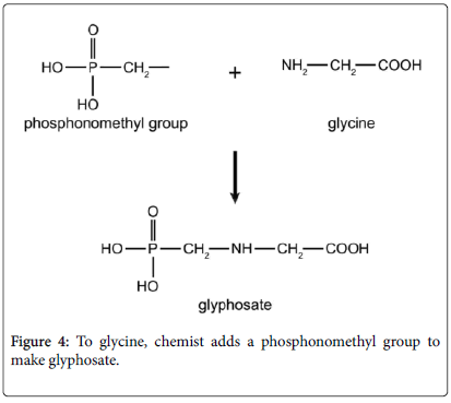Genetics Plays Outsized Role In Autism >> The Possible Link Between Autism And Glyphosate Acting As Glycine Genetics Plays Outsized Role In Autism >> The Possible Link Between Autism And Glyphosate Acting As Glycine