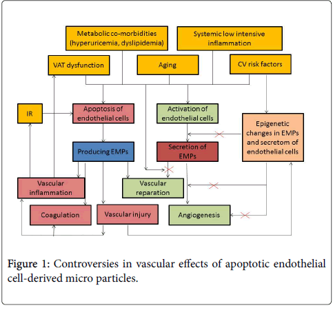 molecular-immunology-apoptotic-micro