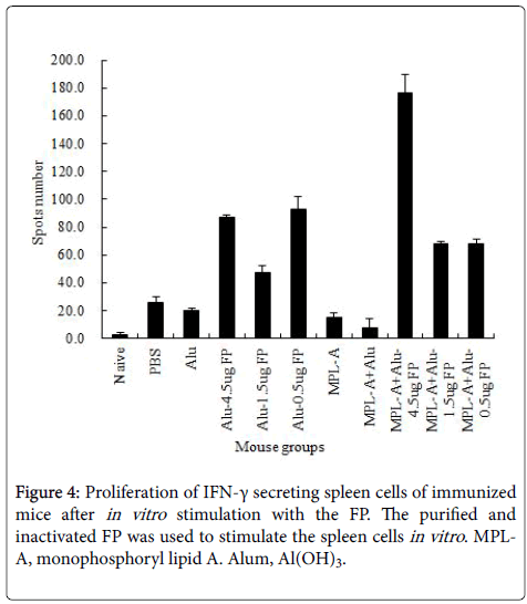 molecular-immunology-secreting-spleen