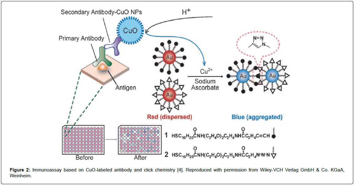 nanomedicinenanotechnologyimmunoassayantibodypermission