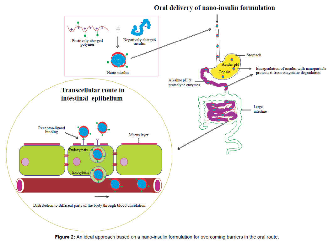 view a comprehensive