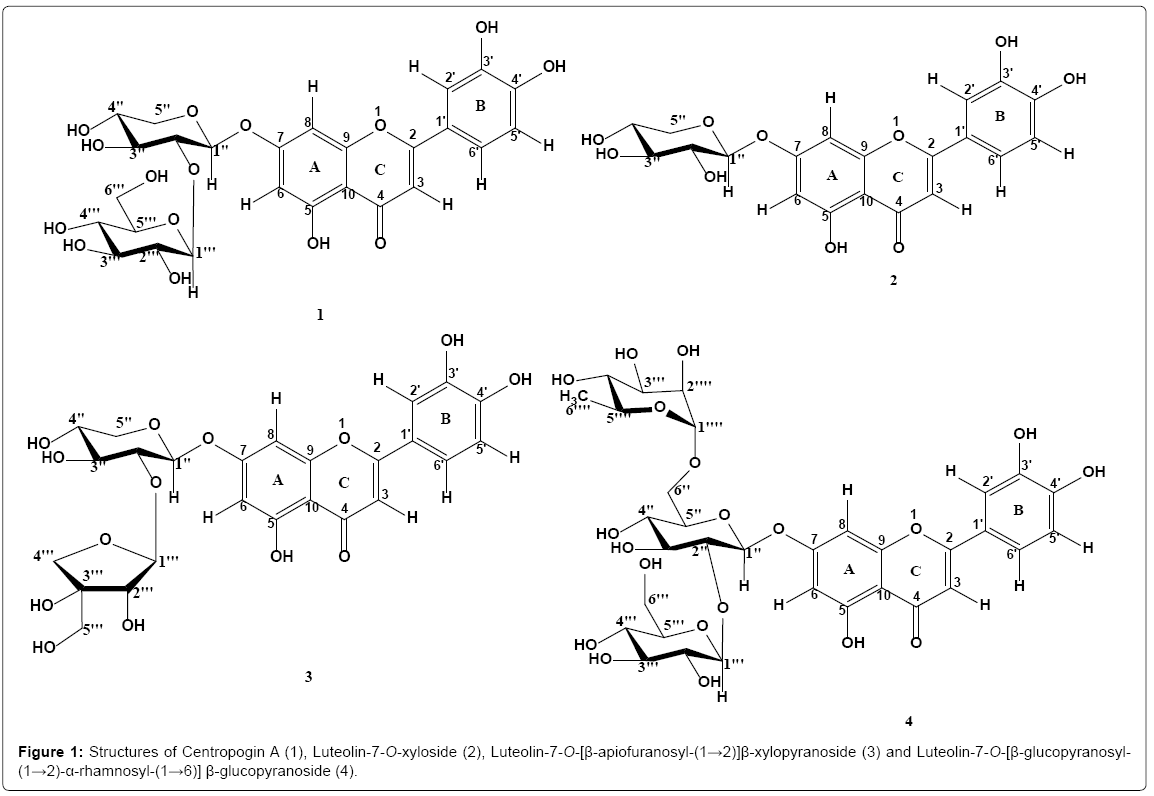 natural-products-chemistry-research-Luteolin-glucopyranoside