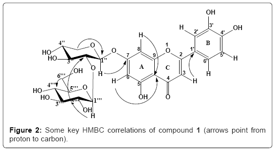 natural-products-chemistry-research-arrows-point