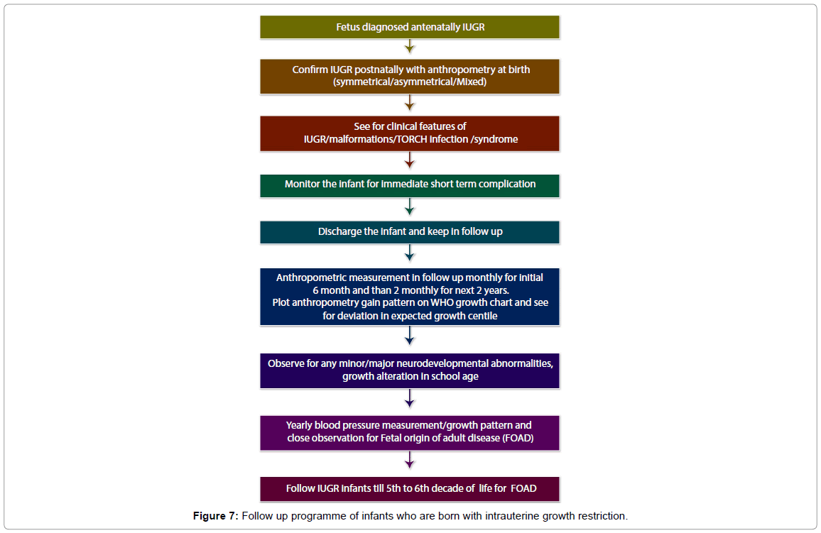 postnatal complications of intrauterine growth restriction omics torch infections chart