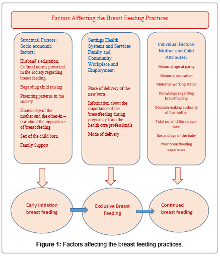 persuasive essay parts