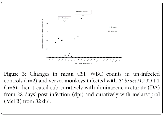 neuroinfectious-diseases-CSF-WBC