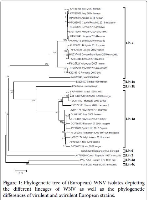 neuroinfectious-diseases-different-lineages