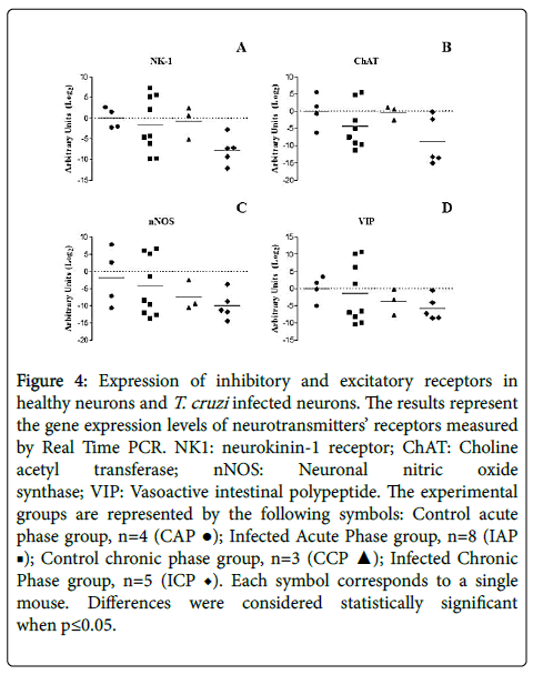 neuroinfectious-diseases-inhibitory-excitatory-receptors