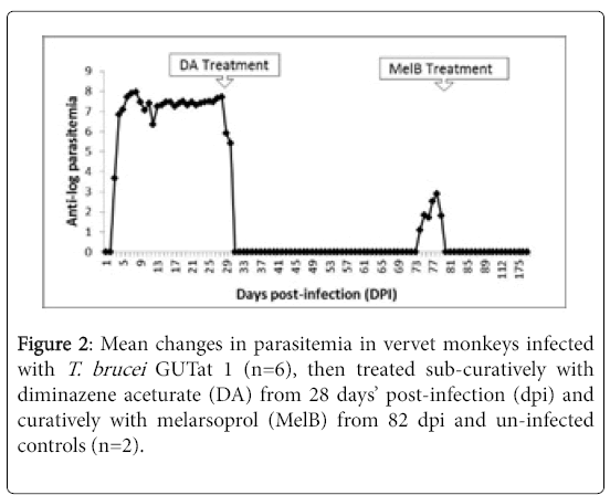 neuroinfectious-diseases-vervet-monkeys