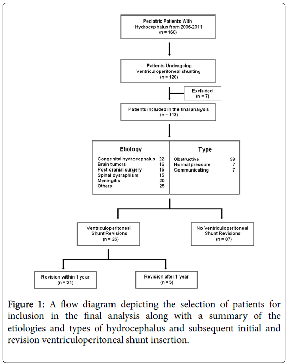 Pathophysiology Of Hydrocephalus In Flow Chart