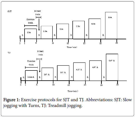novel-physiotherapies-Exercise-protocols