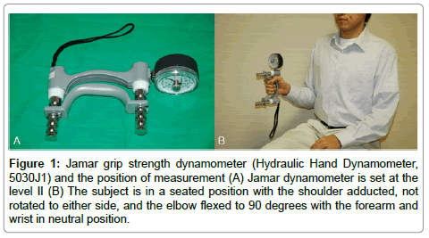 Jamar Hand Dynamometer Norms Chart