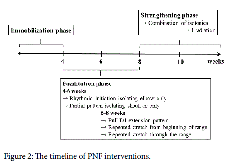 novel-physiotherapies-PNF-interventions