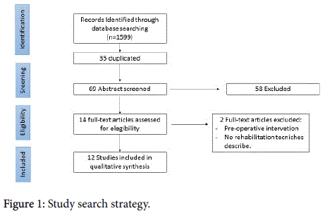 novel-physiotherapies-Study-search