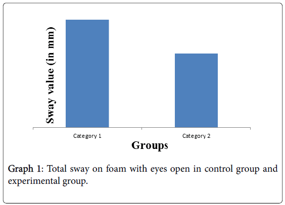 novel-physiotherapies-Total-sway-foam