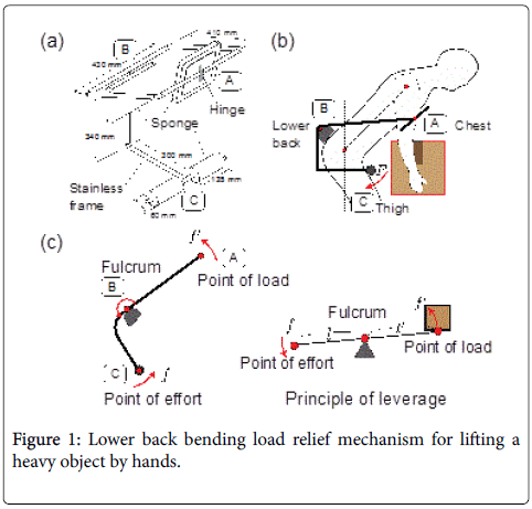 novel-physiotherapies-back-bending-load