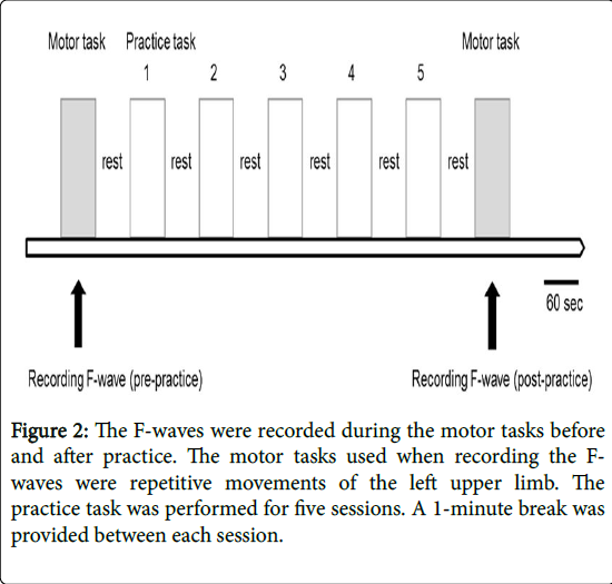 novel-physiotherapies-practice-task