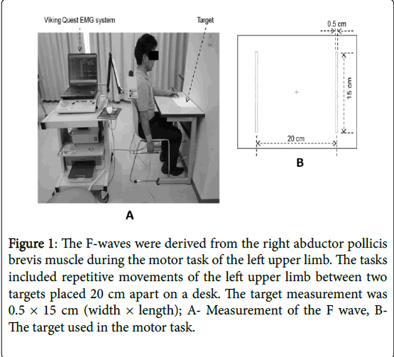 novel-physiotherapies-right-abductor