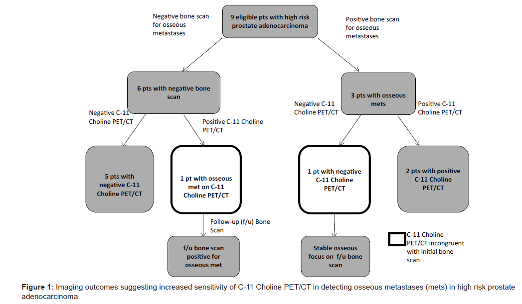 11c Choline Pet Ct Detection Of Osseous Metastases Versus - 
