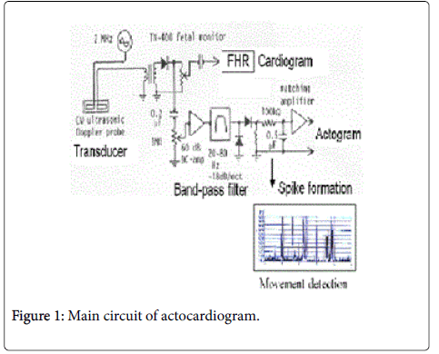 nursing-forensic-studies-Main-circuit